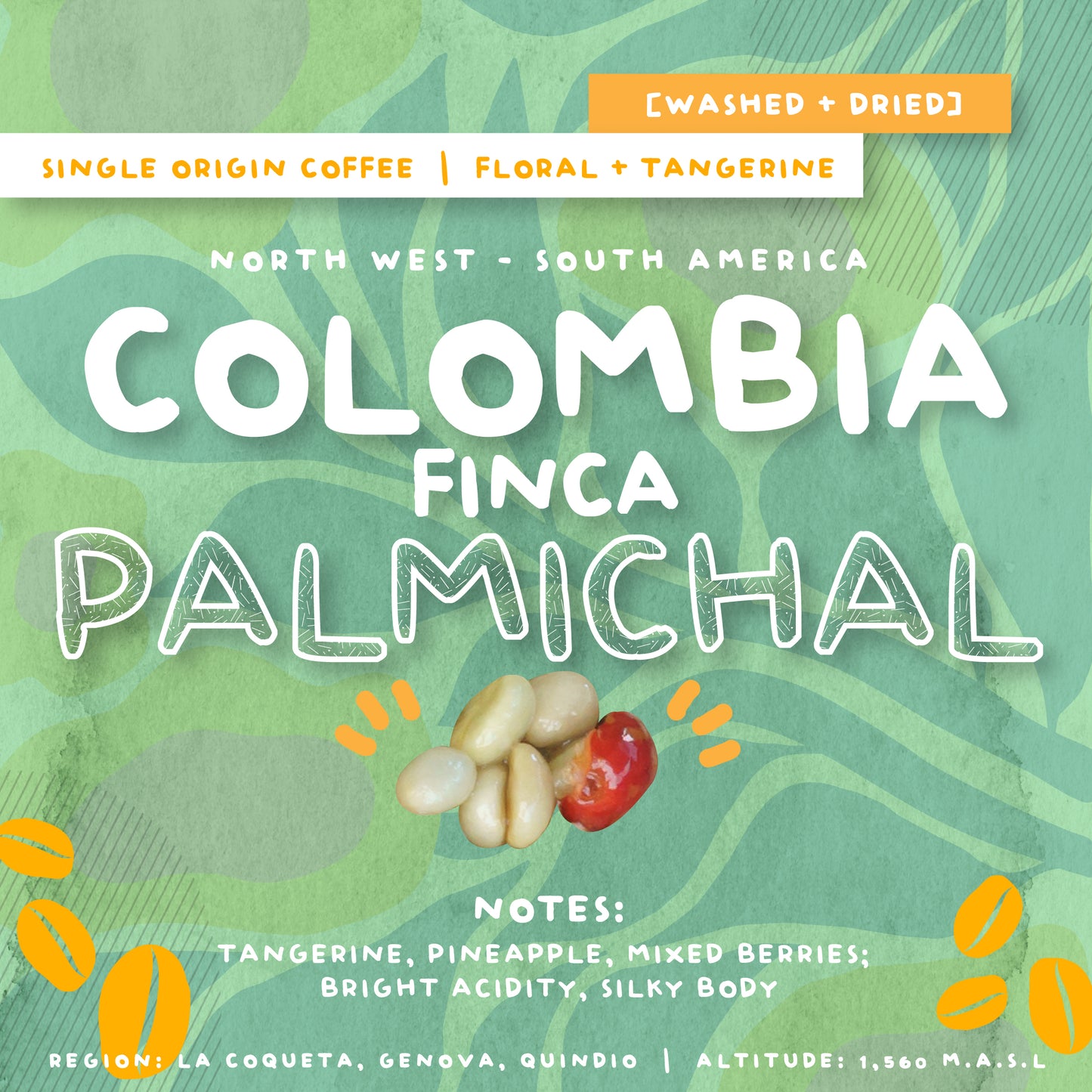 SINGLE ORIGIN COFFEE COLLECTIONS