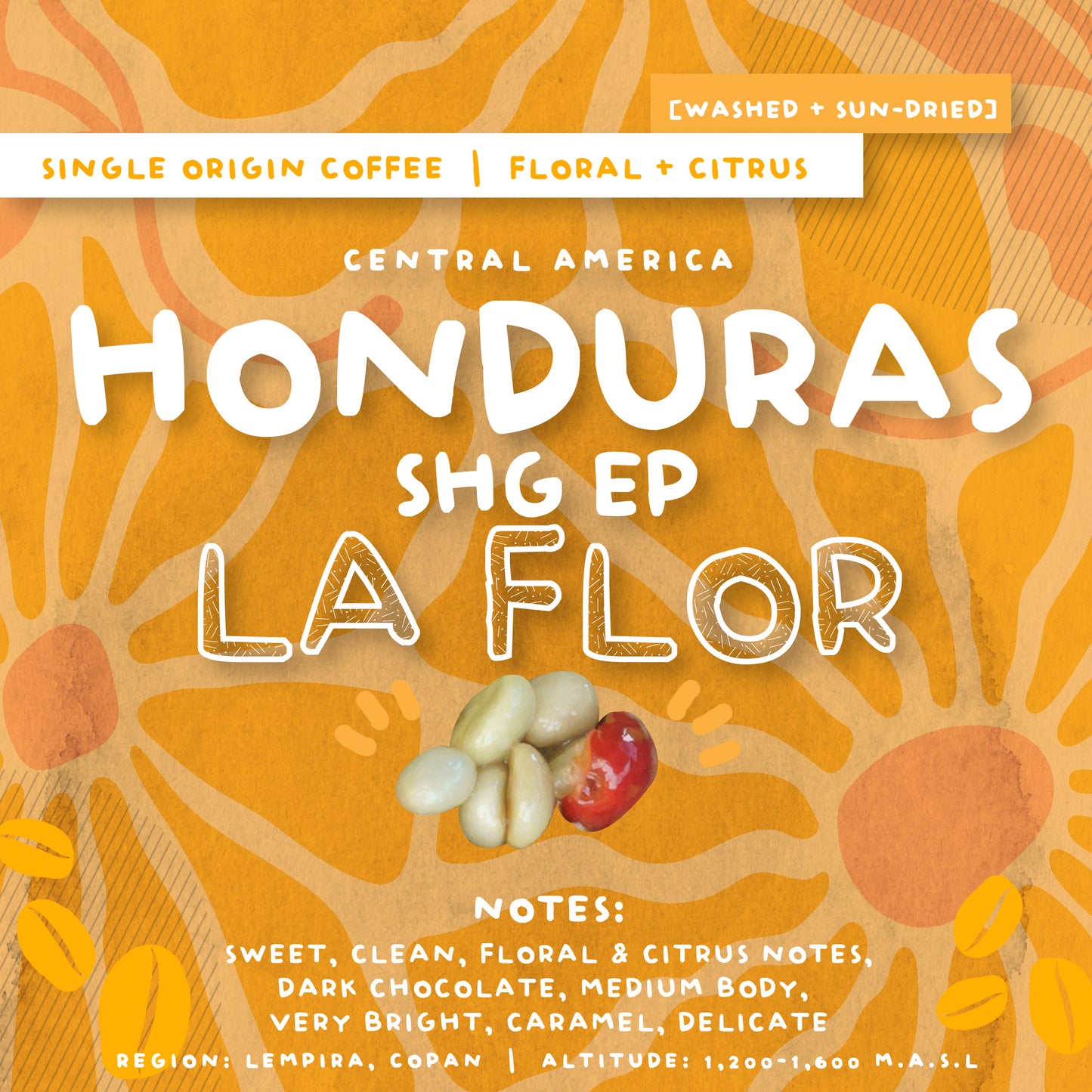 SINGLE ORIGIN COFFEE COLLECTIONS