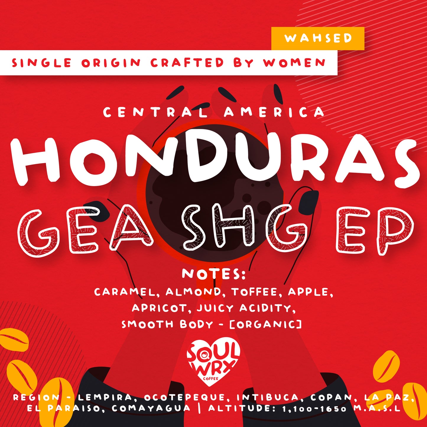 SINGLE ORIGIN COFFEE COLLECTIONS