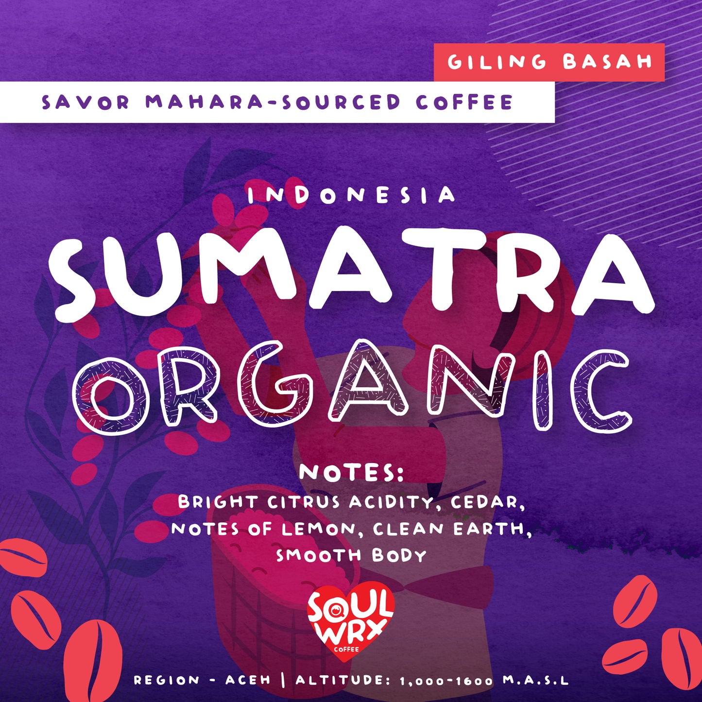 SINGLE ORIGIN COFFEE COLLECTIONS