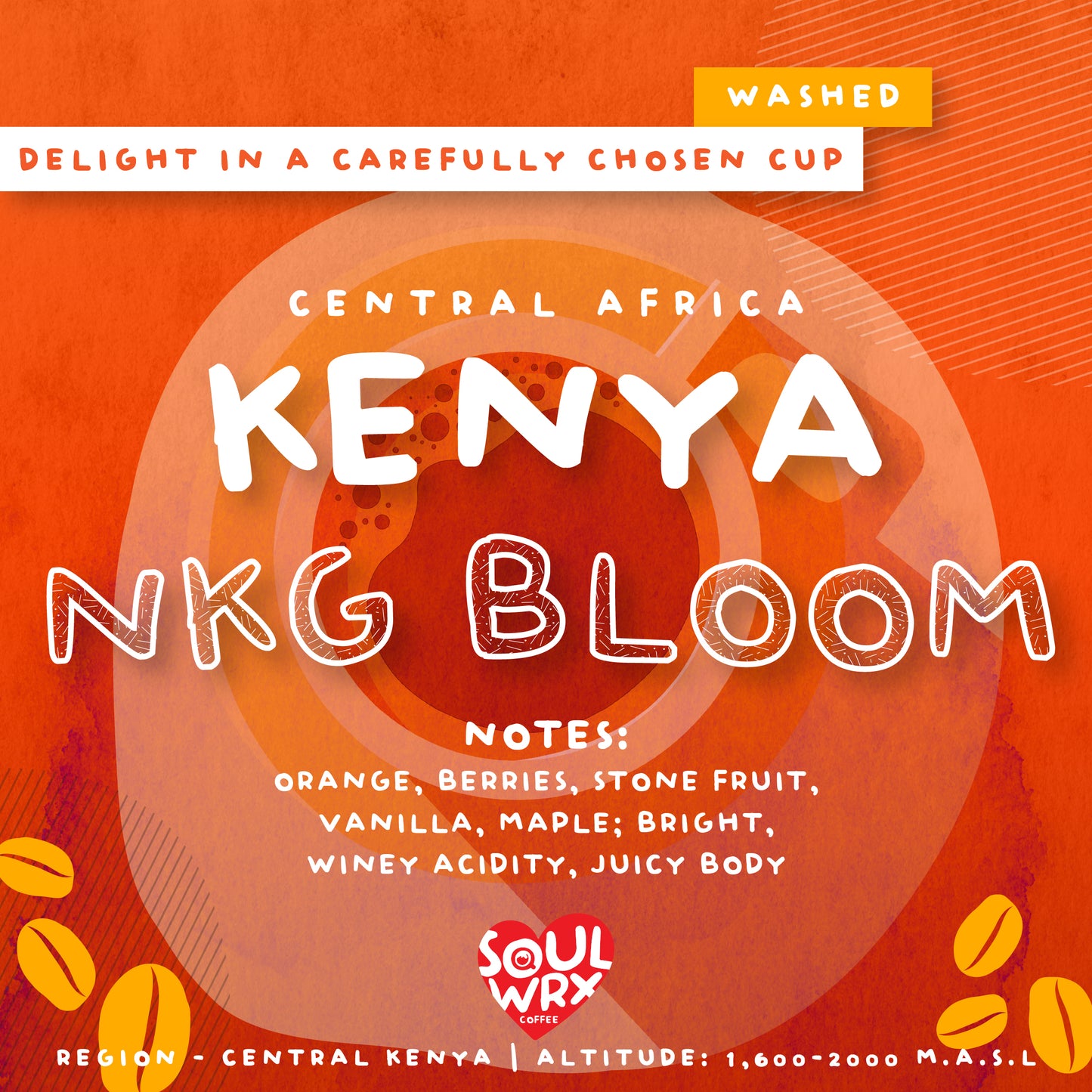 SINGLE ORIGIN COFFEE COLLECTIONS