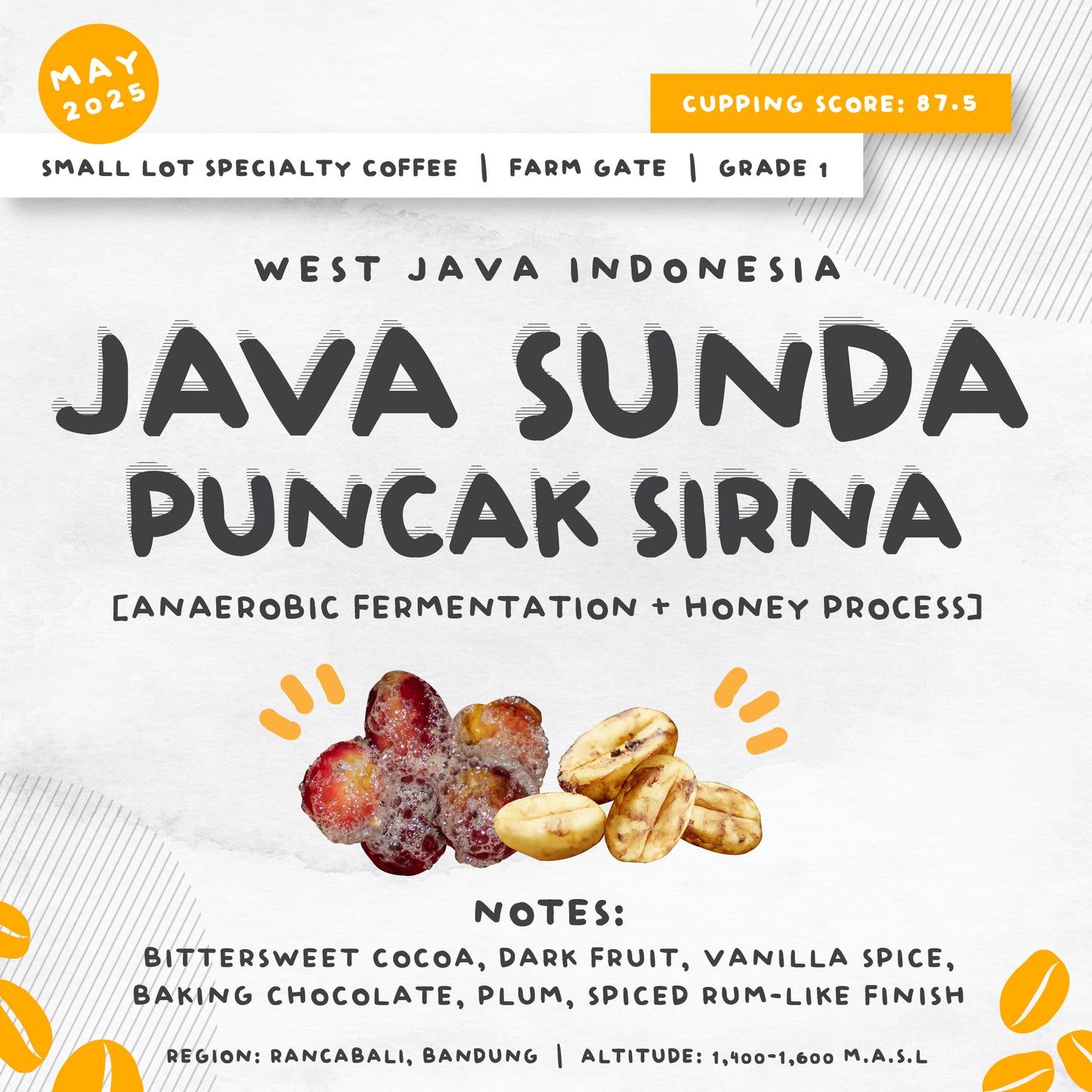 SMALL LOT SPECIALTY COFFEE