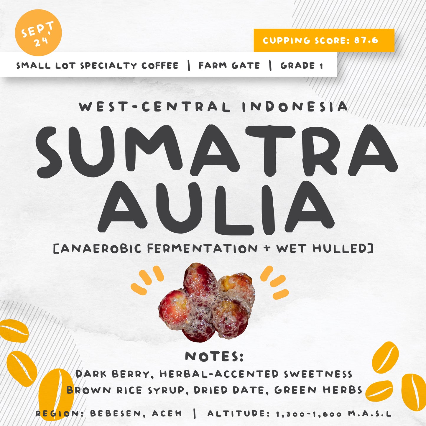 SMALL LOT SPECIALTY COFFEE