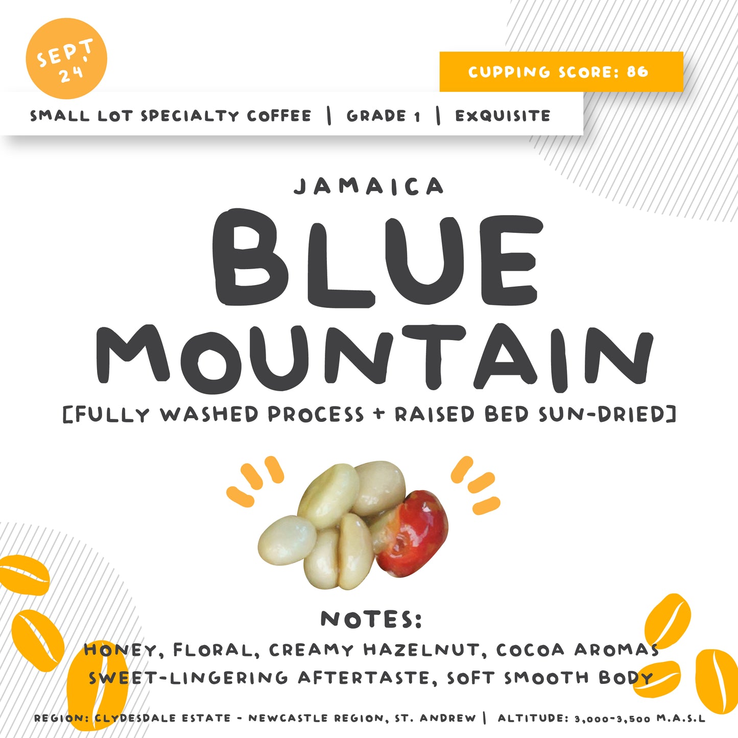 SMALL LOT SPECIALTY COFFEE