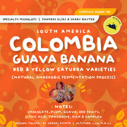 哥倫比亞托利馬厭氧發酵咖啡
