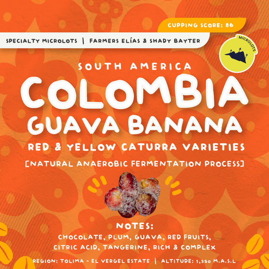 哥倫比亞托利馬厭氧發酵咖啡