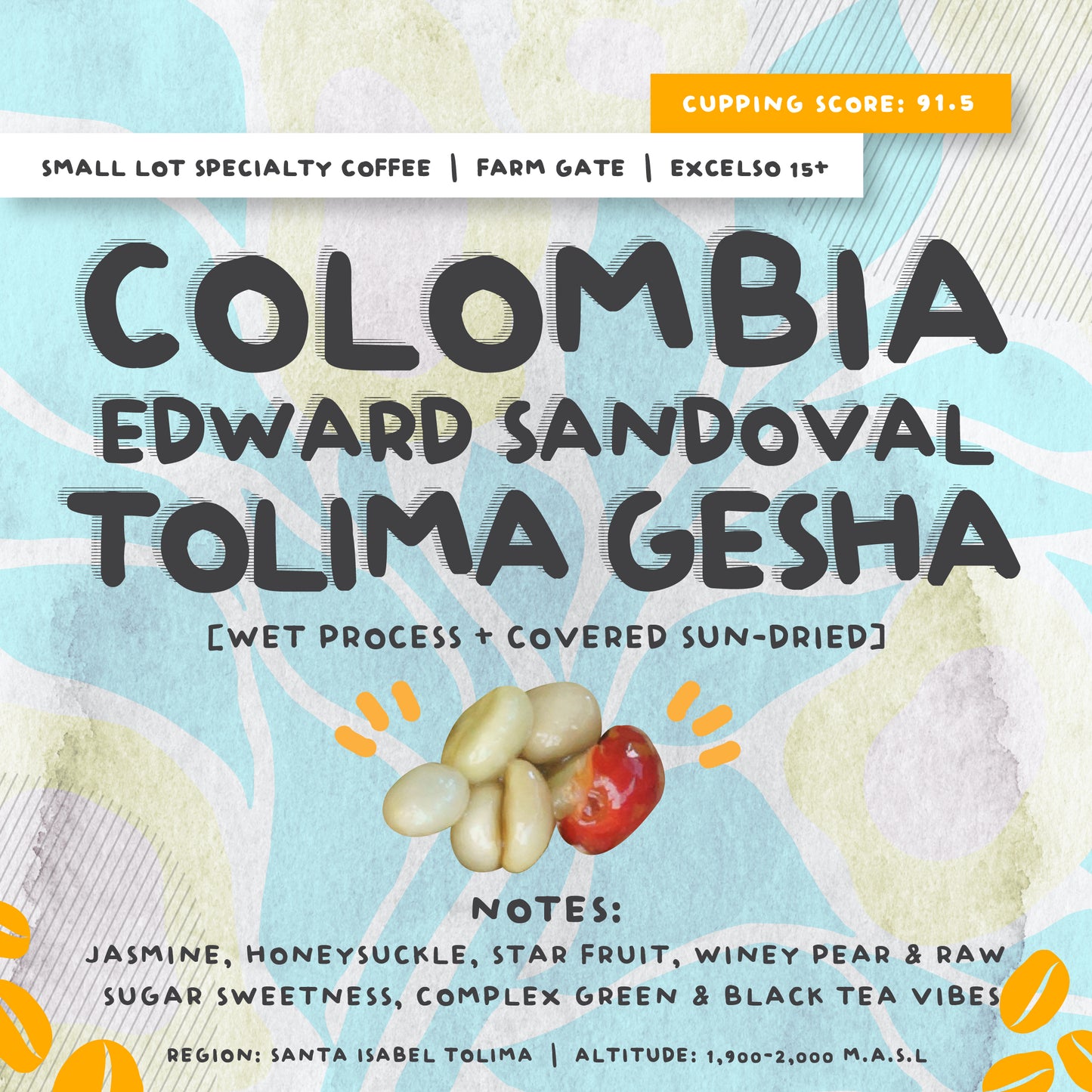 LIMITED RELEASE: COLOMBIA TOLIMA EDWARD SANDOVAL GESHA