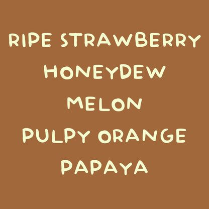 DRIP COFFEE FILTER BOX SETS