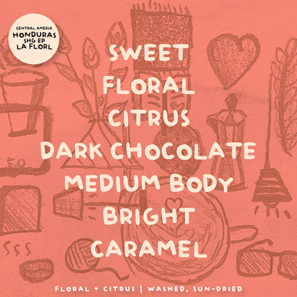 SINGLE ORIGIN COFFEE COLLECTIONS