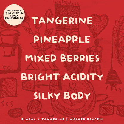 SINGLE ORIGIN COFFEE COLLECTIONS