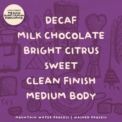 SINGLE ORIGIN COFFEE COLLECTIONS