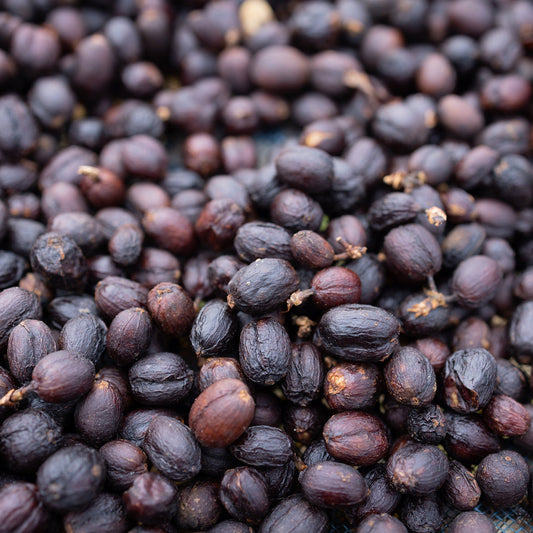 哥倫比亞椰香檸檬咖啡