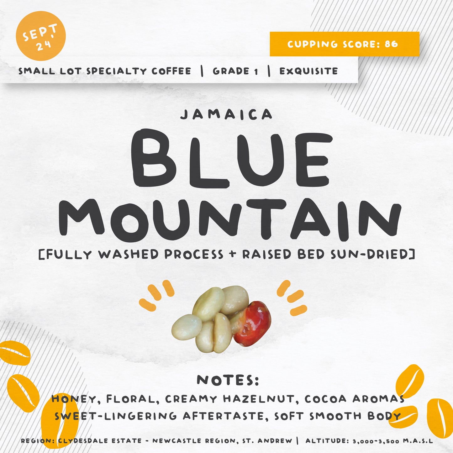 [NEW] SMALL LOT SPECIALTY COFFEE - SEPT 24’