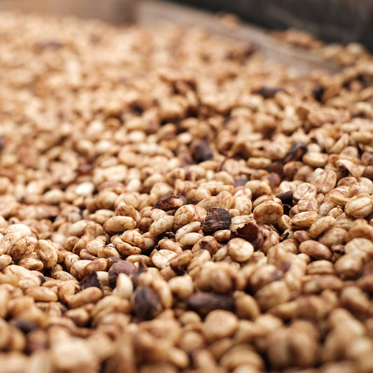 [NEW] DECAF COLOMBIA TOLIMA NATURAL