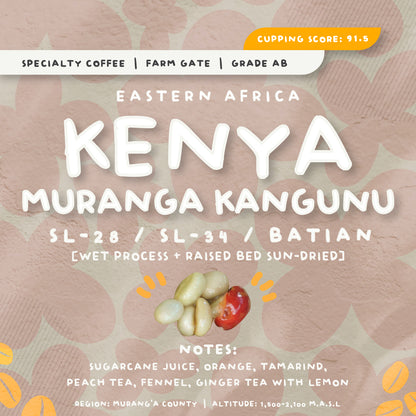 [新產品] 少量特選精品咖啡