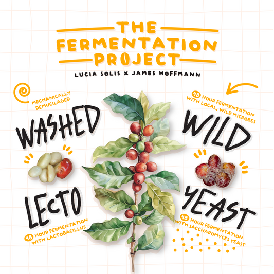 The Fermentation Project Coffee Set (Pre-Order)