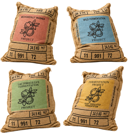 The Fermentation Project Coffee Tasting Kit