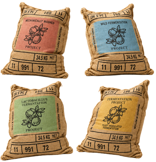 The Fermentation Project Coffee Tasting Kit (Pre-Order)