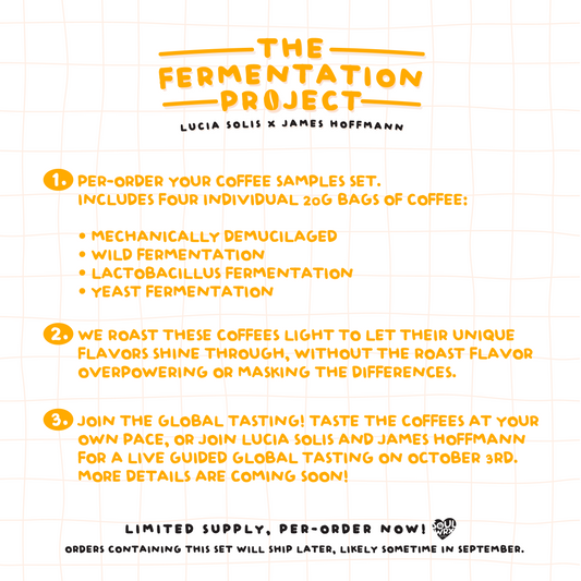 The Fermentation Project Coffee Set (Pre-Order)